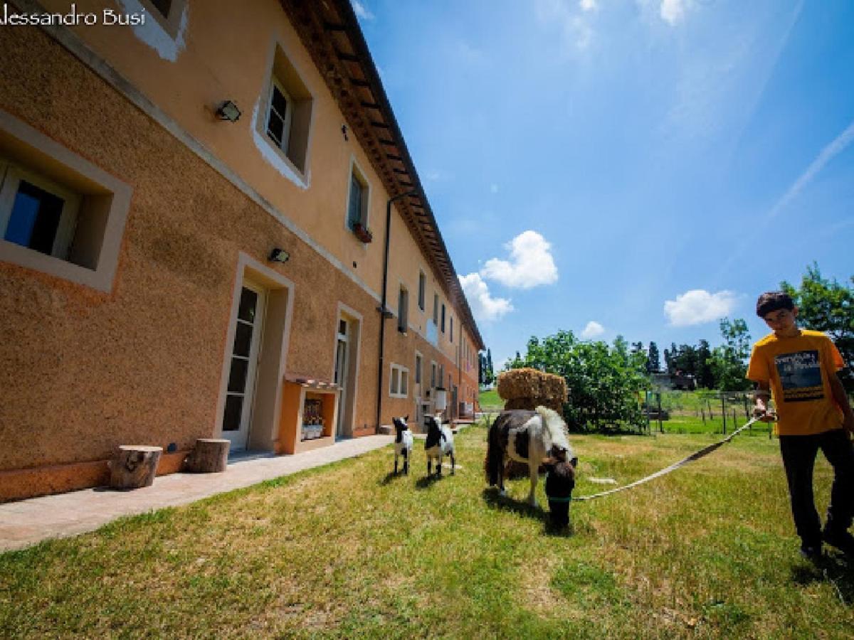 Agriturismo La Valle Della Lavanda - Podere Mezzastrada Fauglia Exterior foto